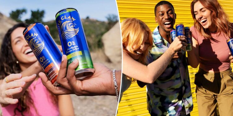 New non-alcoholic White Claws roasted as rebranded seltzer water 'for beer prices'