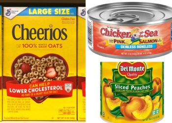 Plastic chemicals 'widespread' in packaged products like Cheerios: report