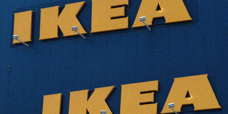 Ikea customers are obsessed with the furniture store's hard to come by, gigantic teddy bear Djungelskog.