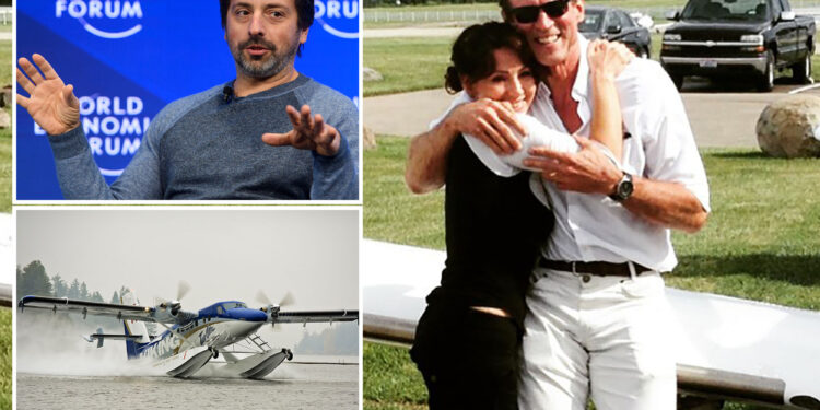 Google co-founder Sergey Brin sued by widow of pilot killed in crash