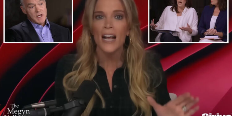 Megyn Kelly wants to debate 'dumb--s' Scott Pelley on CBS '60 Minutes'