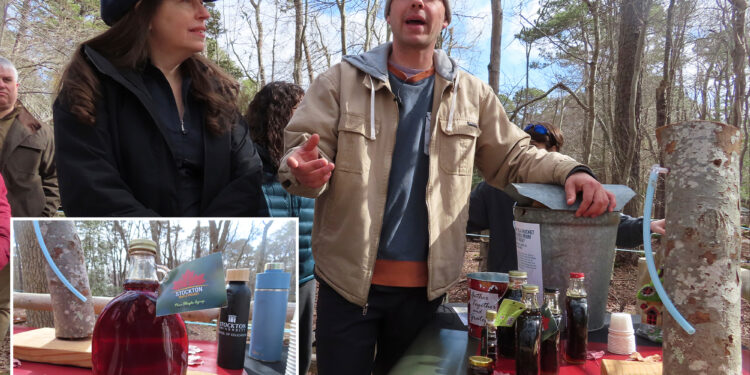 New Jersey school uses $1M grant to produce maple syrup