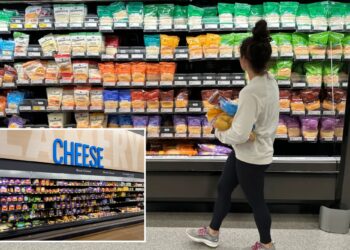 NY environmentalists’ next target? Individually wrapped cheese slices face ban under far-reaching bill