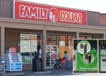 Dollar Tree exploring sale of Family Dollar stores