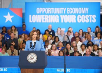 Vice President Kamala Harris unveiled her economic plans at a campaign event in Raleigh on Aug. 16, 2024.