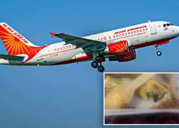 Air India passenger reportedly falls ill after eating cockroach-filled omelet