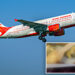 Air India passenger reportedly falls ill after eating cockroach-filled omelet