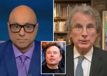 MSNBC guest claims Elon Musk should be 'prosecuted'