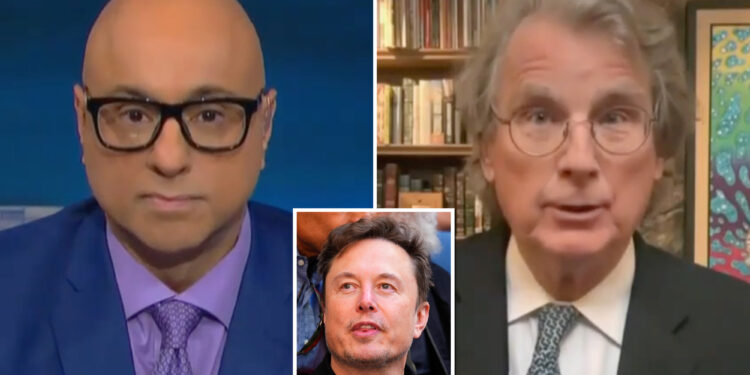 MSNBC guest claims Elon Musk should be 'prosecuted'