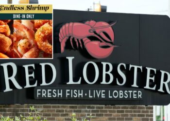 Red Lobster to exit Chapter 11 soon after judge approves sale to new owner