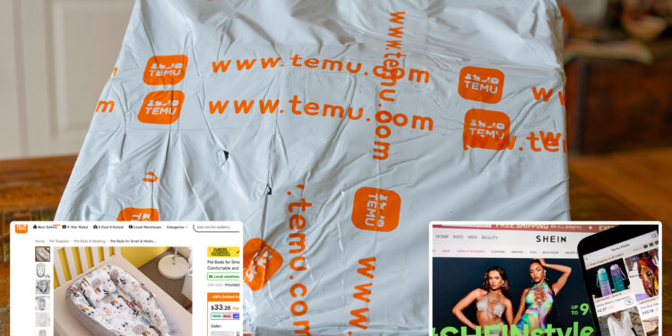 Regulators call for probe into Temu, Shein over deadly baby products