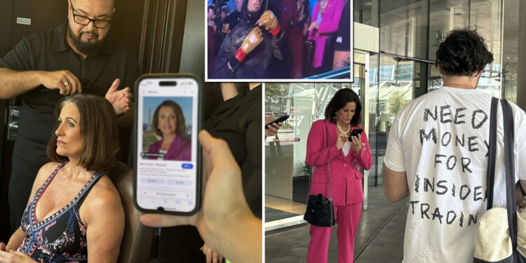 Trading app goes viral thanks to Nancy Pelosi lookalike at UFC match
