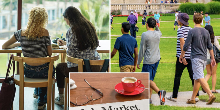 Gen Z workers training to become plumbers, electricians as they lose faith in college degrees