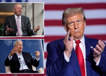 Top Wall Street CEOs cooling on Kamala Harris as Donald Trump's polling numbers surge