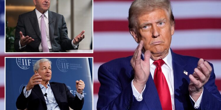 Top Wall Street CEOs cooling on Kamala Harris as Donald Trump's polling numbers surge