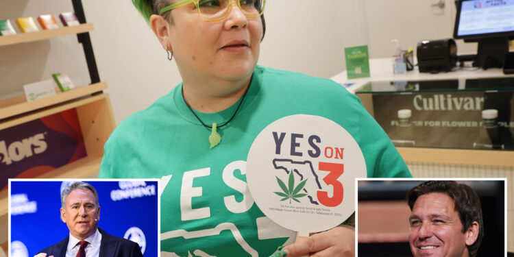 Cannabis shares plunge after Florida legalization bid fails