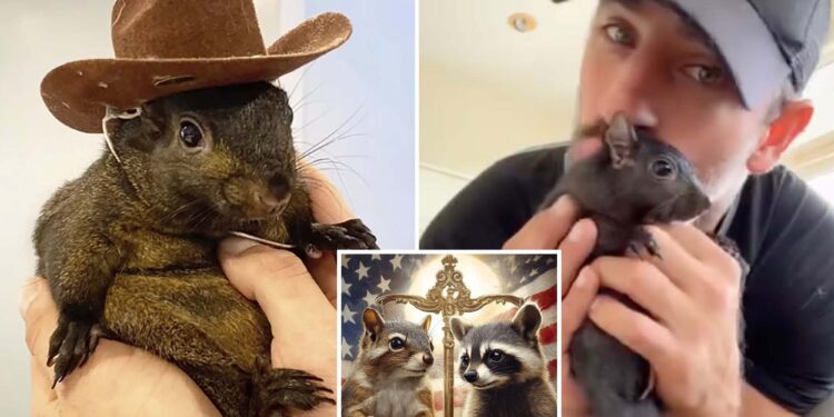 P'Nut the Squirrel's owner starts crypto coin after feud with online investors