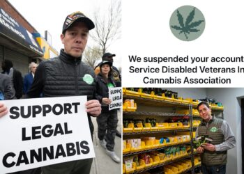 Pro-marijuana veterans group claims it was suspended from Instagram in act of censorship