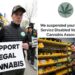 Pro-marijuana veterans group claims it was suspended from Instagram in act of censorship