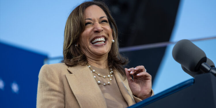 Wall Street is ditching wokeness — but expect it to remain in government if Kamala Harris wins