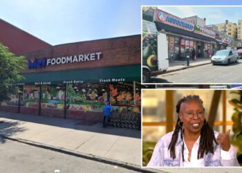 Whoopi Goldberg calls grocers 'pigs' for inflation on 'The View'