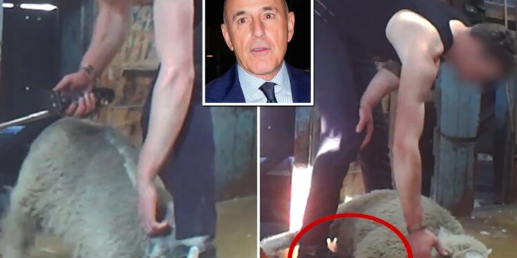 Matt Lauer targeted by PETA for alleged 'abuse' by sheep farmers at his $9M New Zealand hideaway