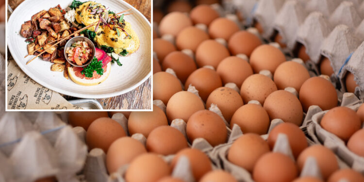 California restaurants scrambling to stay afloat amid sky-high egg prices