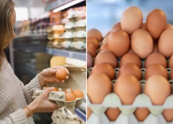 Egg prices may rise as much as 20% by end of the year, says expert – here's why