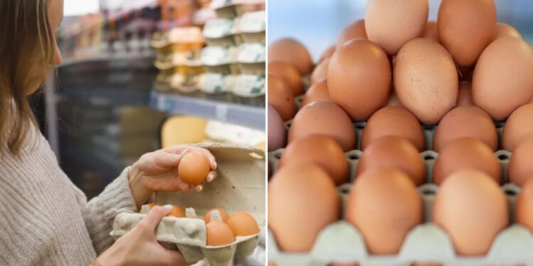 Egg prices may rise as much as 20% by end of the year, says expert – here's why