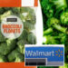 FDA raises alert on listeria-tainted broccoli sold at Walmart over risk of 'death'