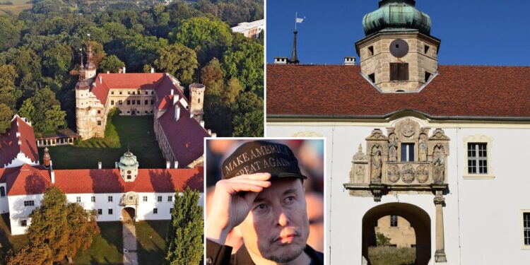 Polish town invites Elon Musk to buy its castle for his European headquarters