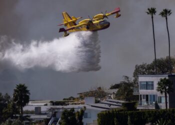 The drone pilot who took out an LA firefighting plane pleads guilty to escape jail