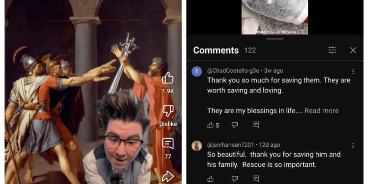 Two screenshots, one showing a narrator over a painting of ancient Romans, the other showing a cute cat over some comments.