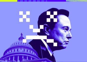 Elon Musk’s coup: what’s happening with DOGE and the US