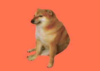 Federal workers launch a new site to share inside information about DOGE