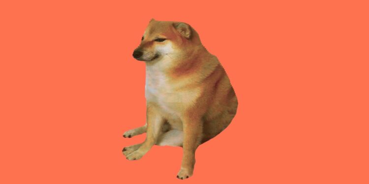 Federal workers launch a new site to share inside information about DOGE