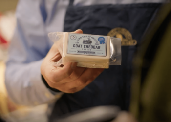 Google pulls incorrect Gouda stat from its AI Super Bowl ad