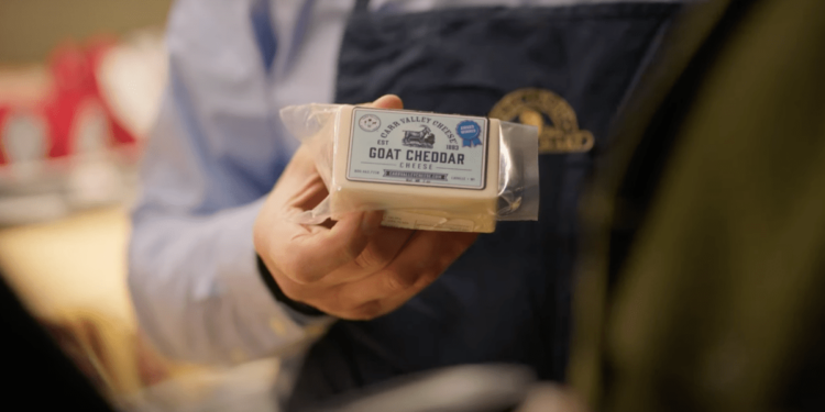 Google pulls incorrect Gouda stat from its AI Super Bowl ad