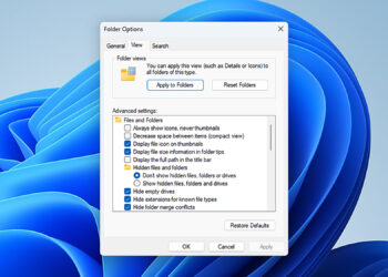 Windows display showing Folder views and a list of foldiers, including one headed “Hidden files and folders.”