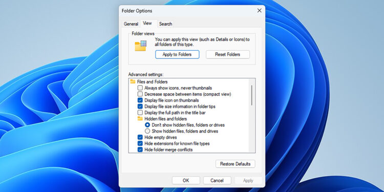 Windows display showing Folder views and a list of foldiers, including one headed “Hidden files and folders.”