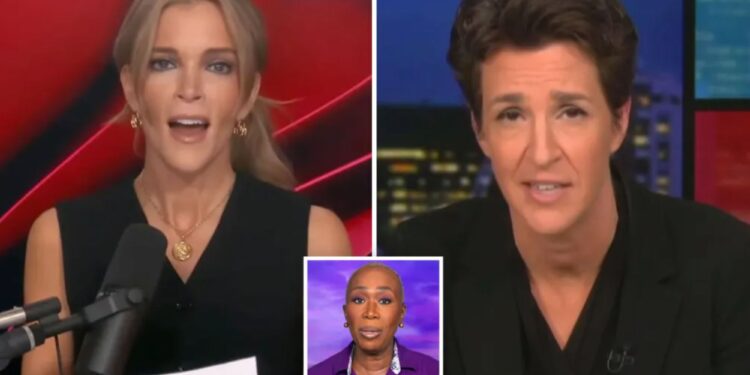 Megyn Kelly rips into Rachel Maddow for on-air MSNBC critique