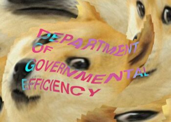 Musk promises to reinstate DOGE staffer linked to racist account