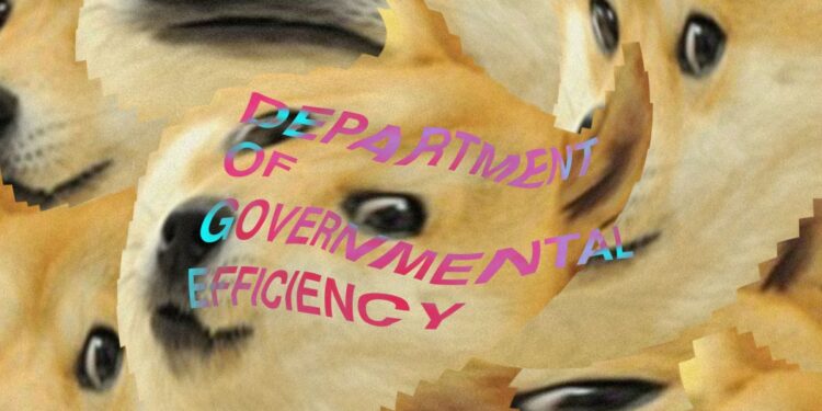 Musk promises to reinstate DOGE staffer linked to racist account