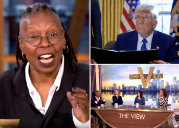 Whoopi Goldberg clashes with 'The View' co-host on talking toTrump voters