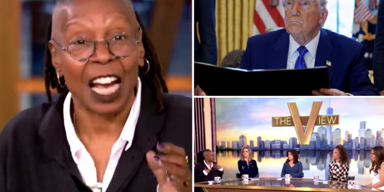 Whoopi Goldberg clashes with 'The View' co-host on talking toTrump voters