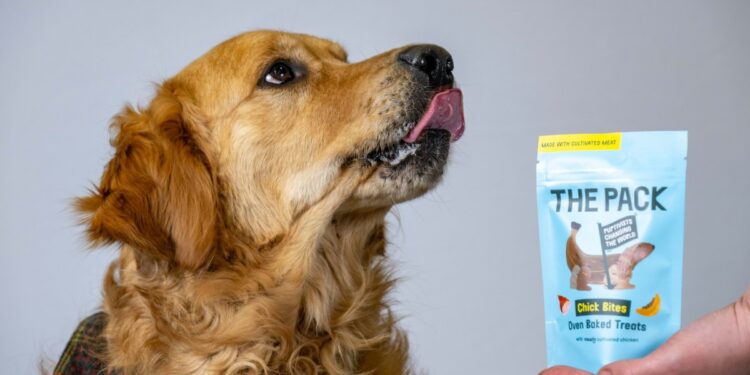 World’s first lab-grown meat for pets goes on sale