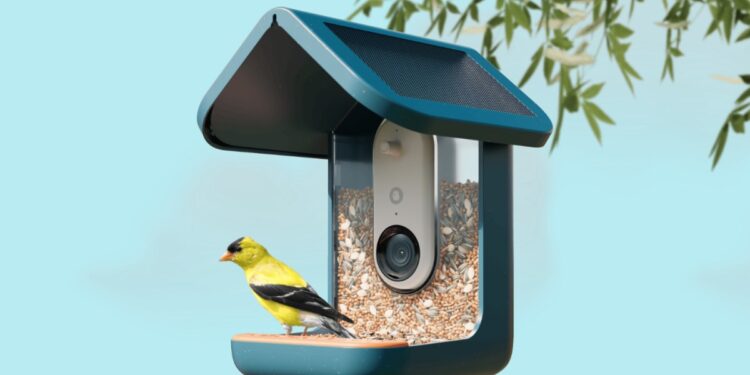 Bird Buddy’s solar-powered smart feeder is $100 off for Amazon’s Big Spring Sale