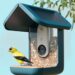 Bird Buddy’s solar-powered smart feeder is $100 off for Amazon’s Big Spring Sale