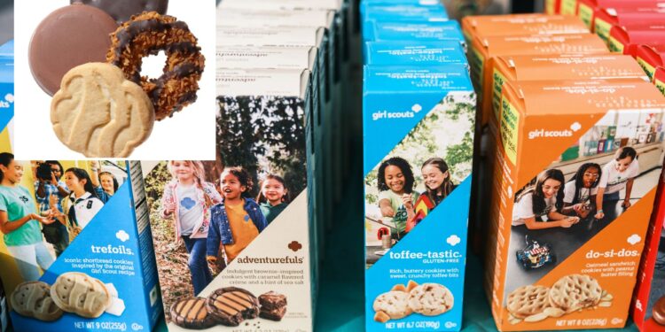 Girl Scouts sued over alleged heavy metals, pesticides in cookies