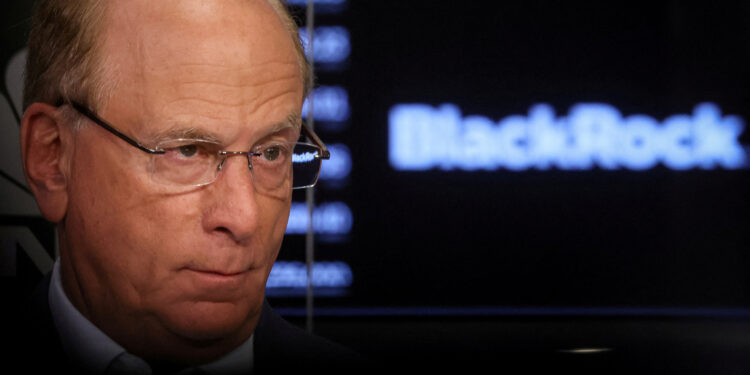 How BlackRock CEO Larry Fink has turned into the darling of the MAGA movement